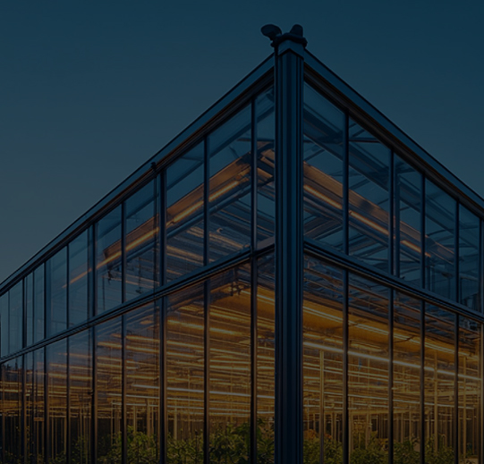 GREENHOUSE